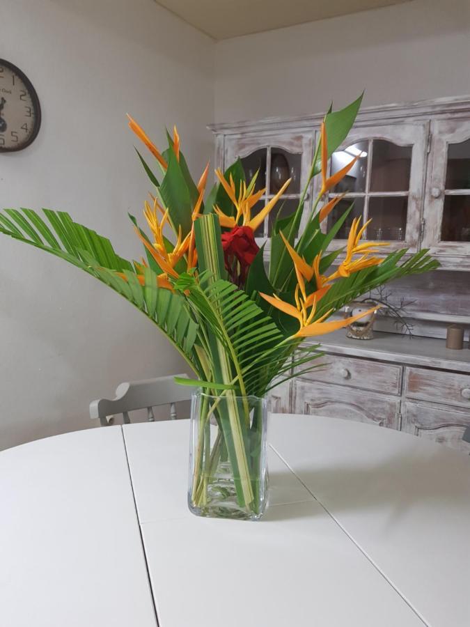 Roy'Al Beach Holidays Sainte-Luce Exteriör bild